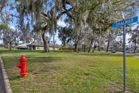 a green field with lots of trees