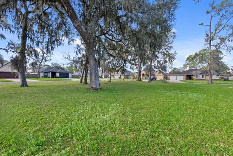 a view of a trees with a yard