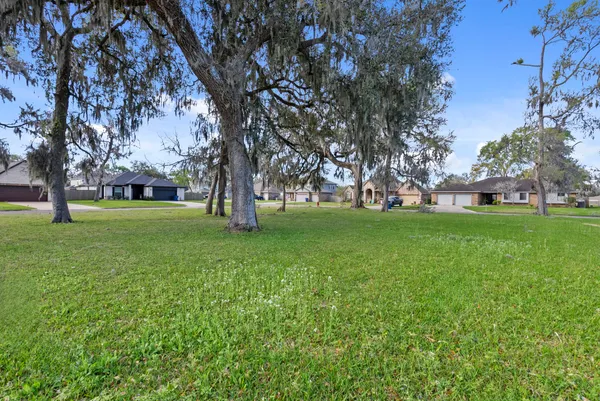 a view of a trees with a yard