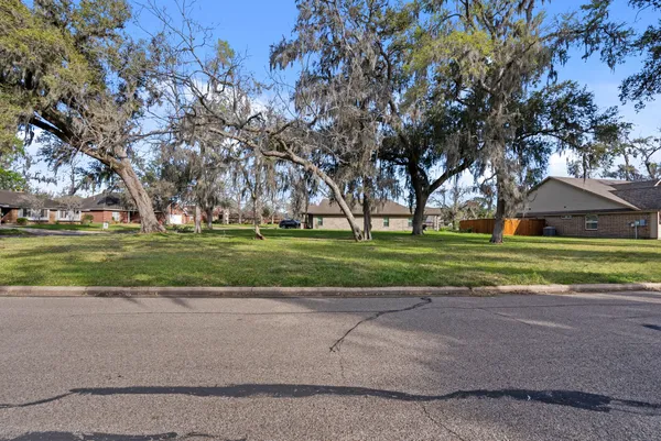 a view of road with large trees