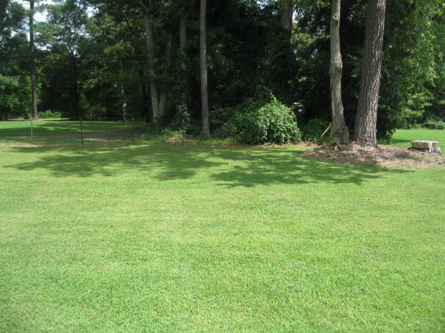 6947 Reedy Branch Road Rocky Mount, NC 27803 - Photo 21 of 21 Additional Photo
