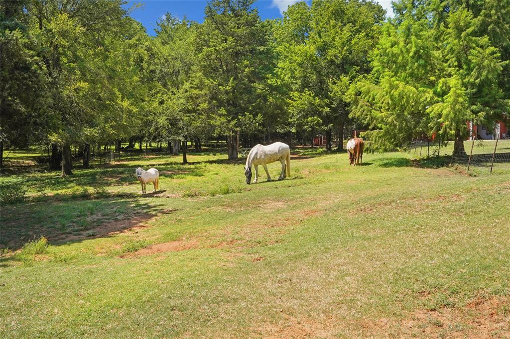 1433 Old Sadler Road Sadler, TX 76264 - Photo 37 of 40