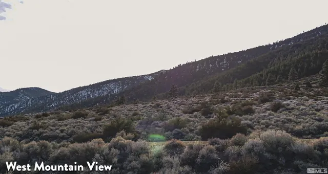 a view of a dry field