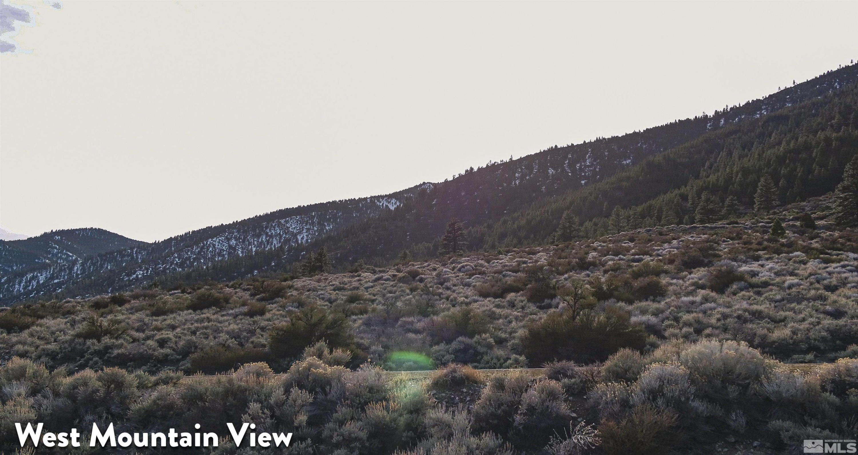 2527 Eagle Ridge Road, Unit 41 Genoa, NV 89411 - Photo 4 of 4 a view of a dry field