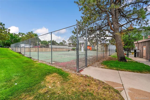 a view of a park with large trees