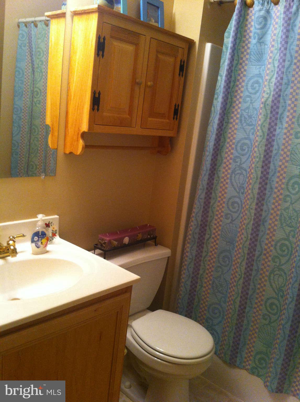 8923 Mayflower Road Baltimore, MD 21237 - Photo 17 of 28 Bath Master