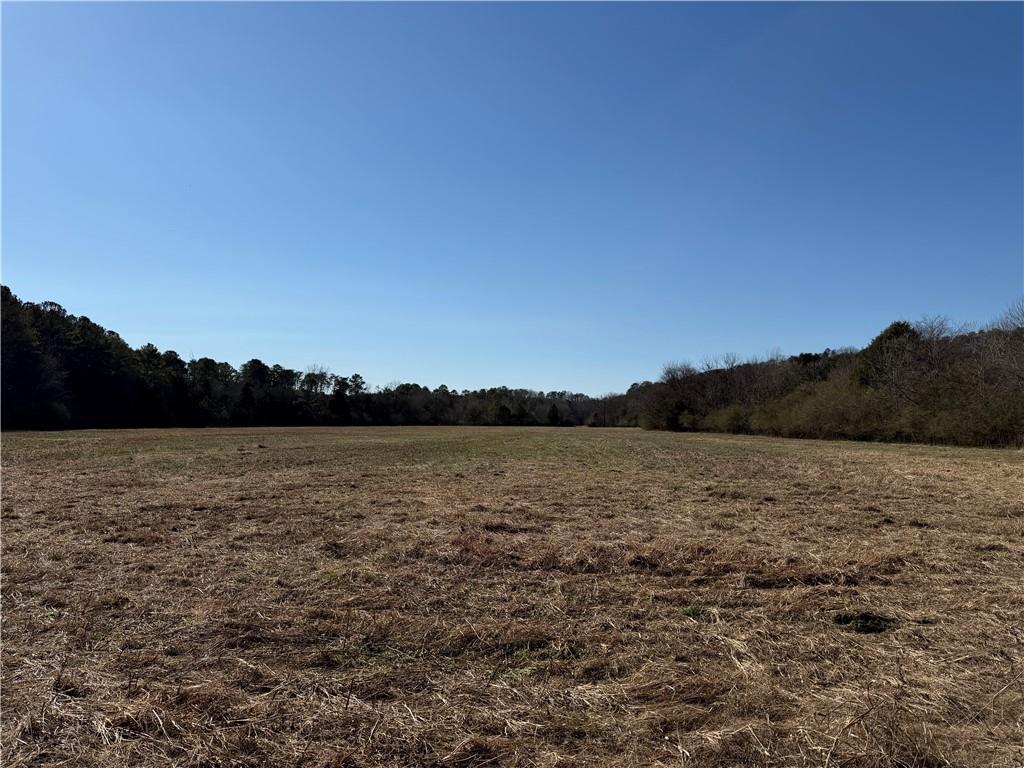 0 Liberty Church Road Northeast Ranger, GA 30734 - Photo 16 of 31 Gallery Image 16