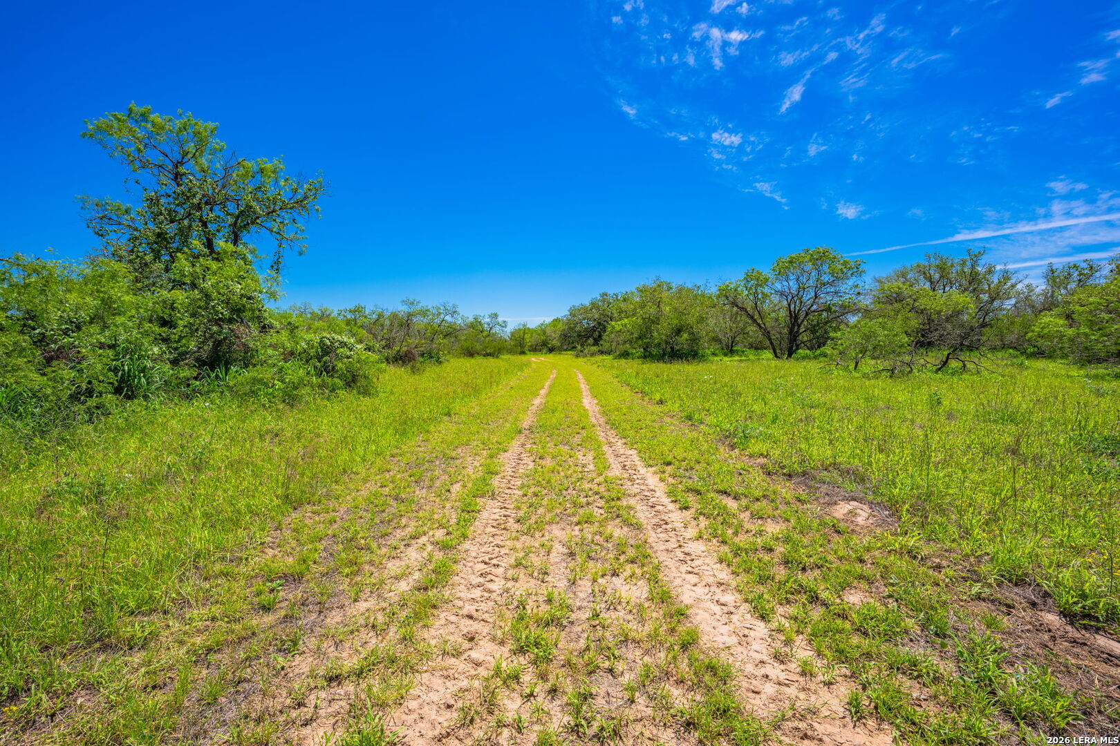 3355 Jim Brite Road Pleasanton, TX 78064 - Photo 5 of 50