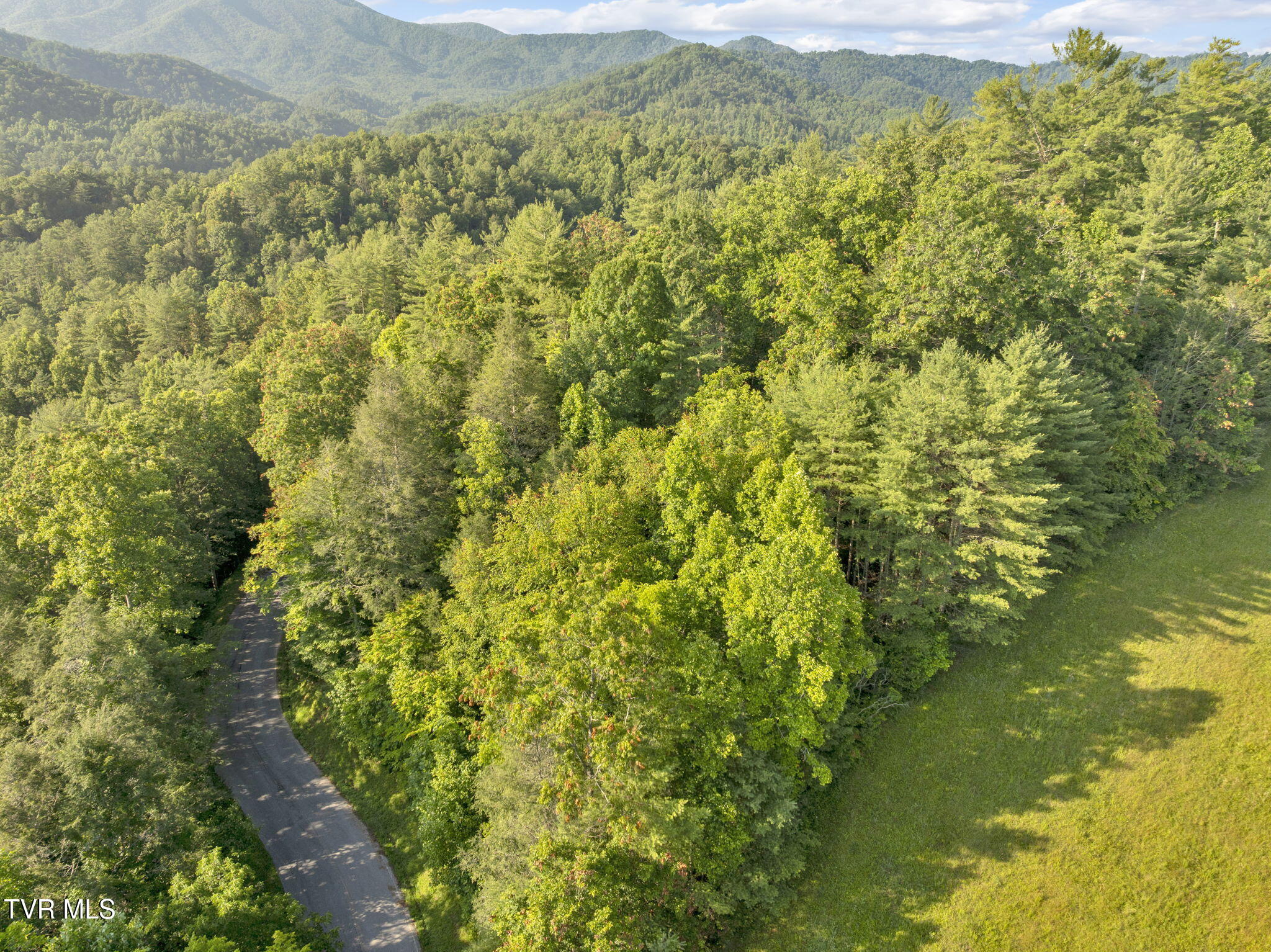 Tbd Clear Branch Road Erwin, TN 37650 - Photo 13 of 17 13-web-or-mls-JH 20250627-037