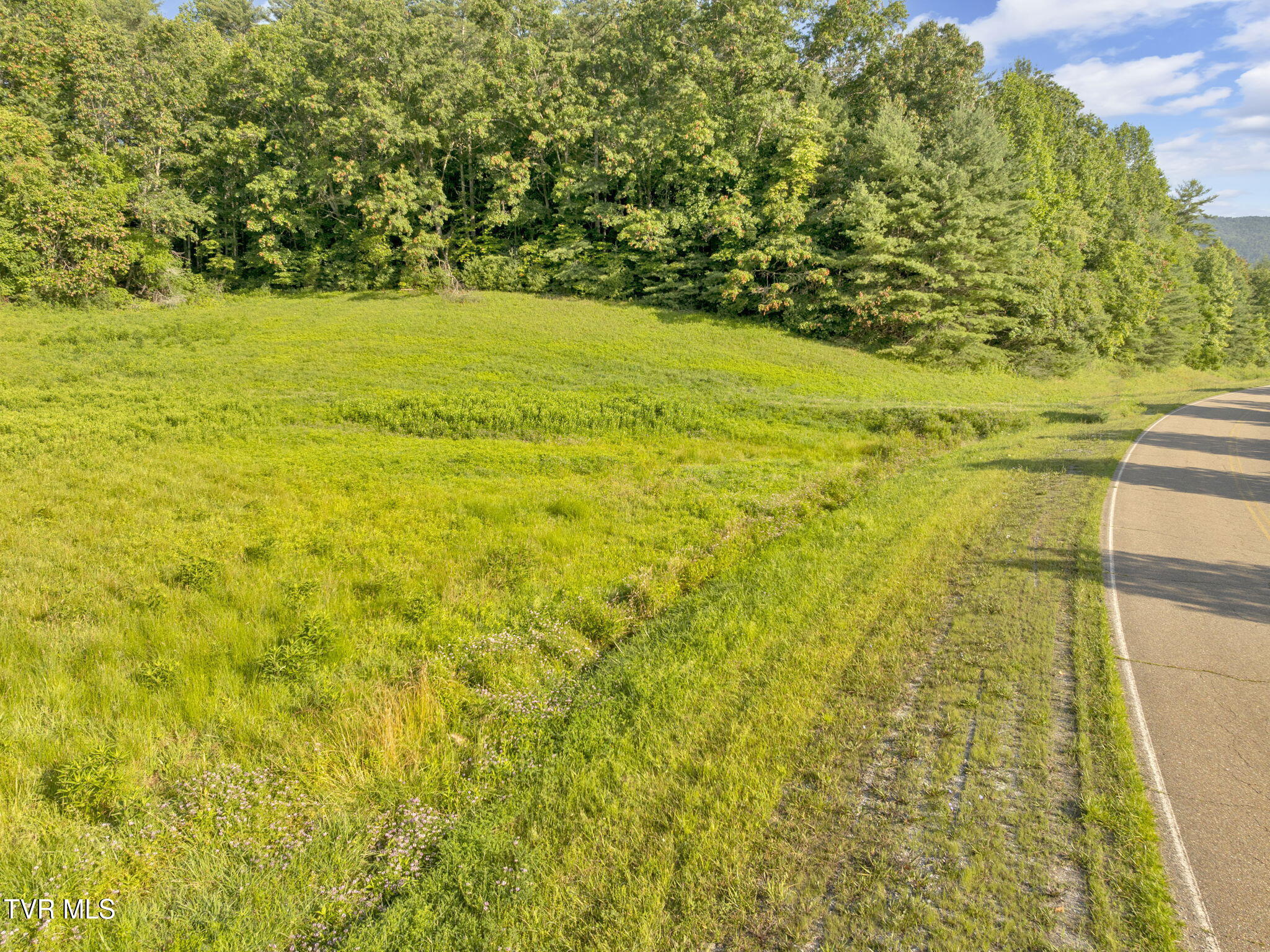 Tbd Clear Branch Road Erwin, TN 37650 - Photo 14 of 17 14-web-or-mls-JH 20250627-040