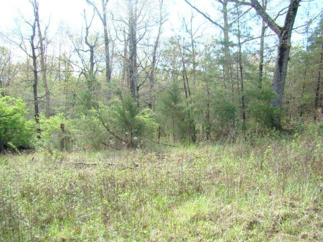 700 Oil Springs Road Winchester, KY 40391 - Photo 4 of 10 Photo 4