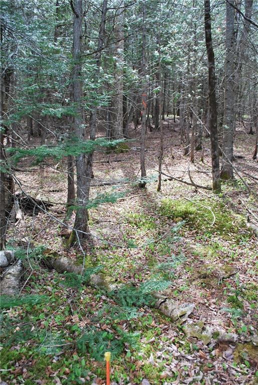 2-1 & 2-2 Osgood Road Garland, ME 04939 - Photo 22 of 28 Photo