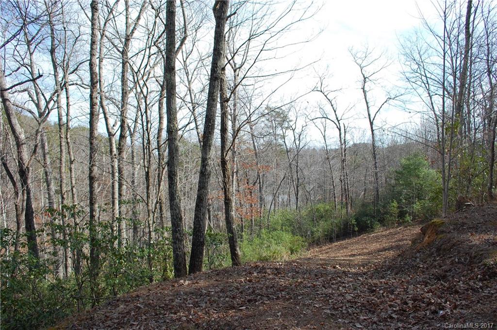 Lot 10 Caledonia Loop Landrum, SC 29356 - Photo 1 of 9 Gallery Image 1