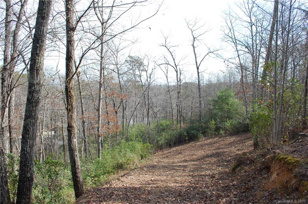 Lot 10 Caledonia Loop Landrum, SC 29356 - Photo 2 of 9 Gallery Image 2