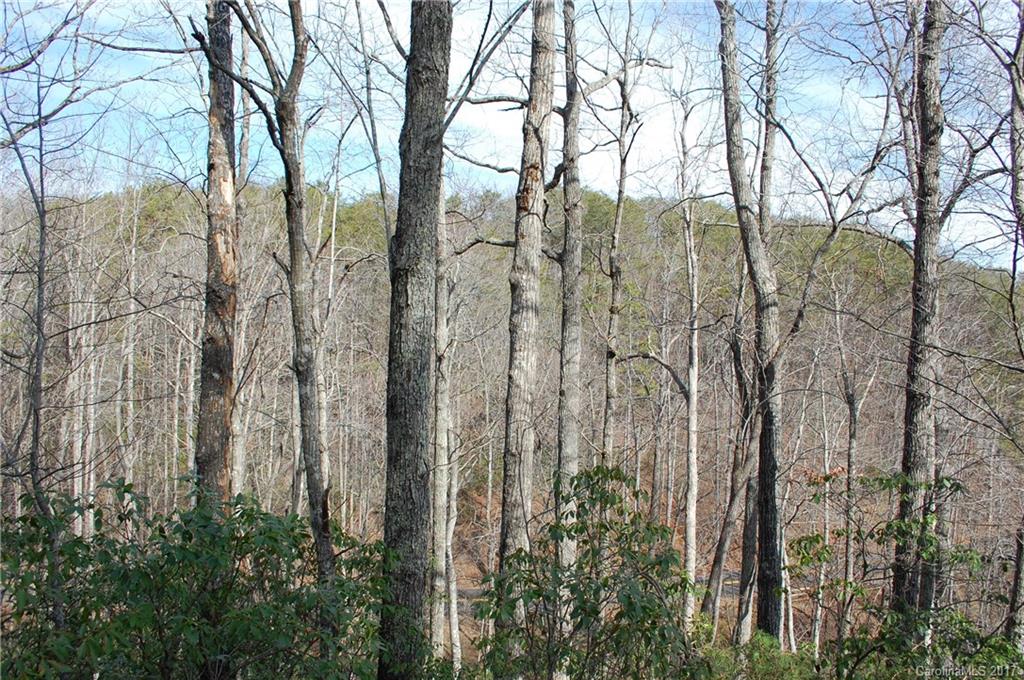 Lot 10 Caledonia Loop Landrum, SC 29356 - Photo 5 of 9 Gallery Image 5