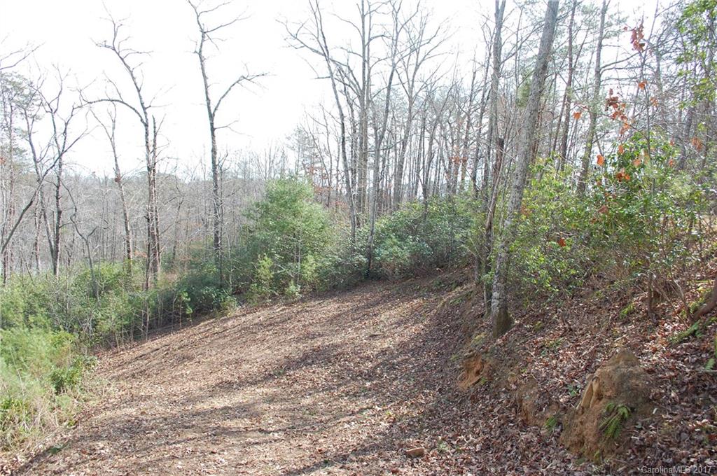 Lot 10 Caledonia Loop Landrum, SC 29356 - Photo 6 of 9 Gallery Image 6