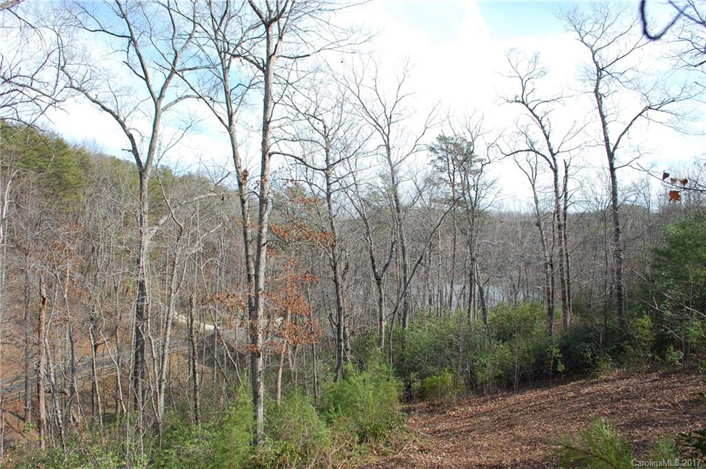 Lot 10 Caledonia Loop Landrum, SC 29356 - Photo 7 of 9 Gallery Image 7