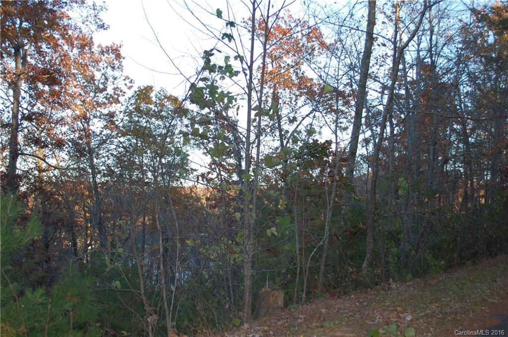 Lot 10 Caledonia Loop Landrum, SC 29356 - Photo 8 of 9 Gallery Image 8