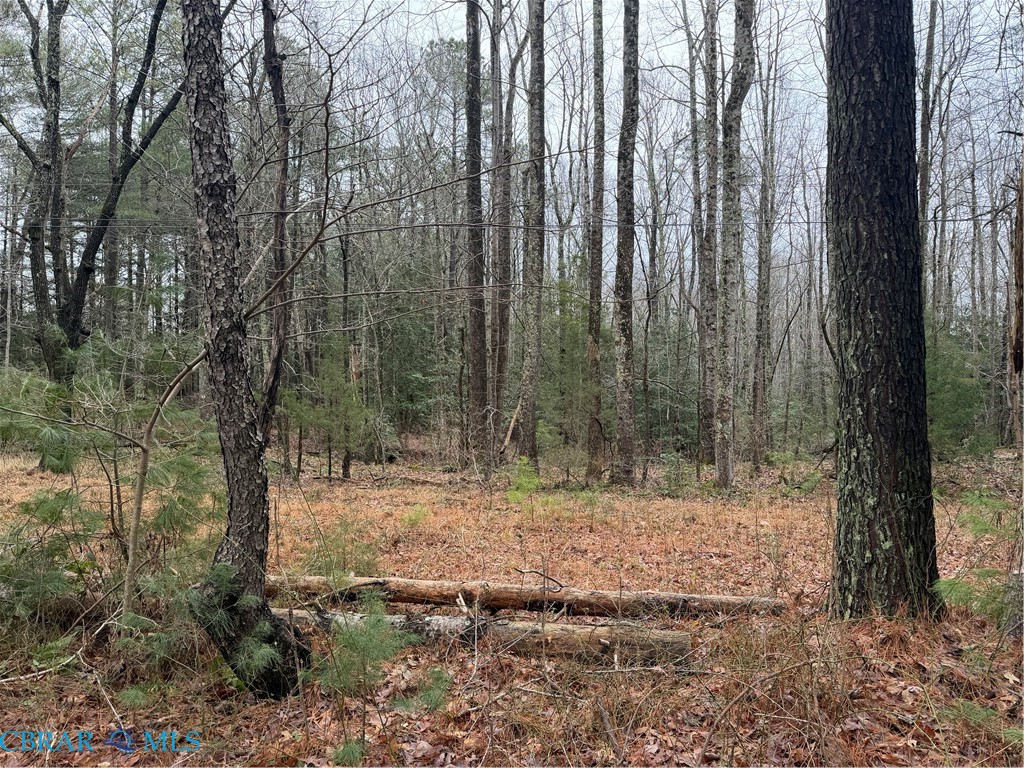 Lot 22-31 Iberis Road Lancaster, VA 22503 - Photo 1 of 3