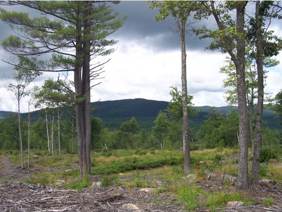 112 Southgate Road Newbury, NH 03255 - Photo 10 of 10
