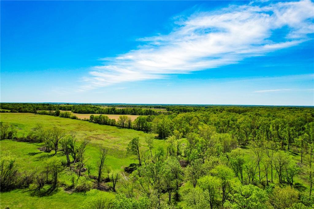 1100 Rd Rural Route Rich Hill, MO 64779 - Photo 11 of 18