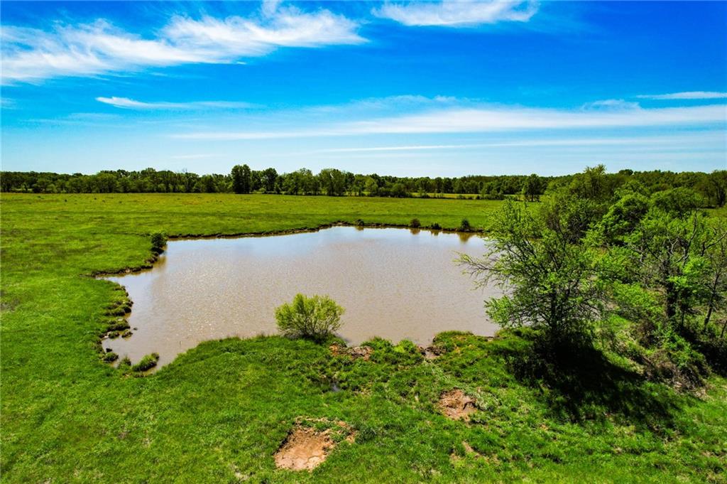 1100 Rd Rural Route Rich Hill, MO 64779 - Photo 2 of 18