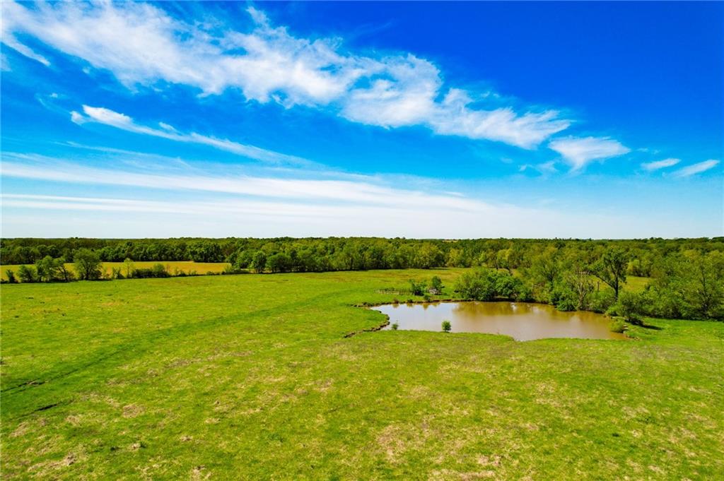 1100 Rd Rural Route Rich Hill, MO 64779 - Photo 8 of 18