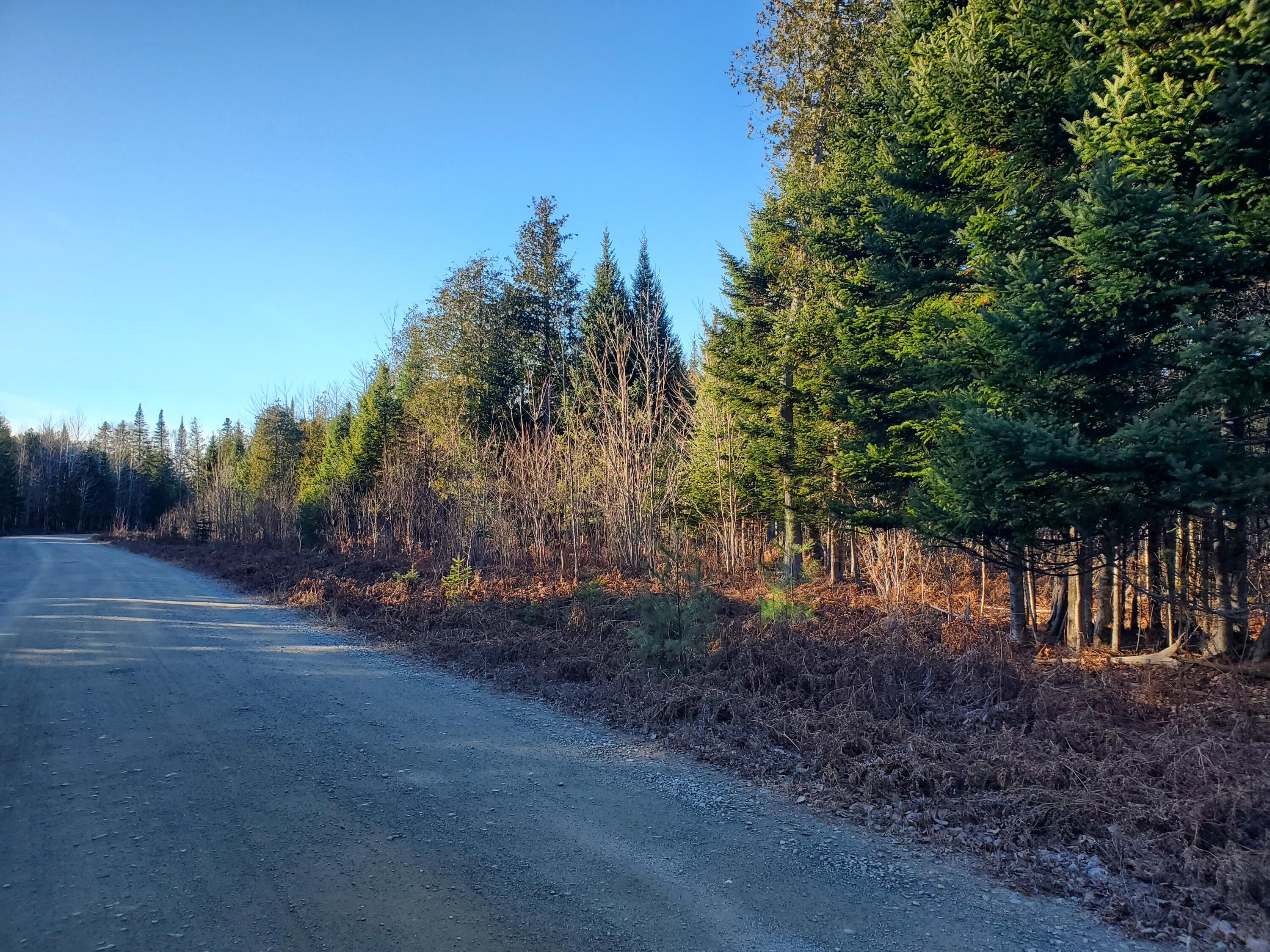 R1-007-001 Lander Farm Road Stratton, ME 04982 - Photo 8 of 25 20241117_140220