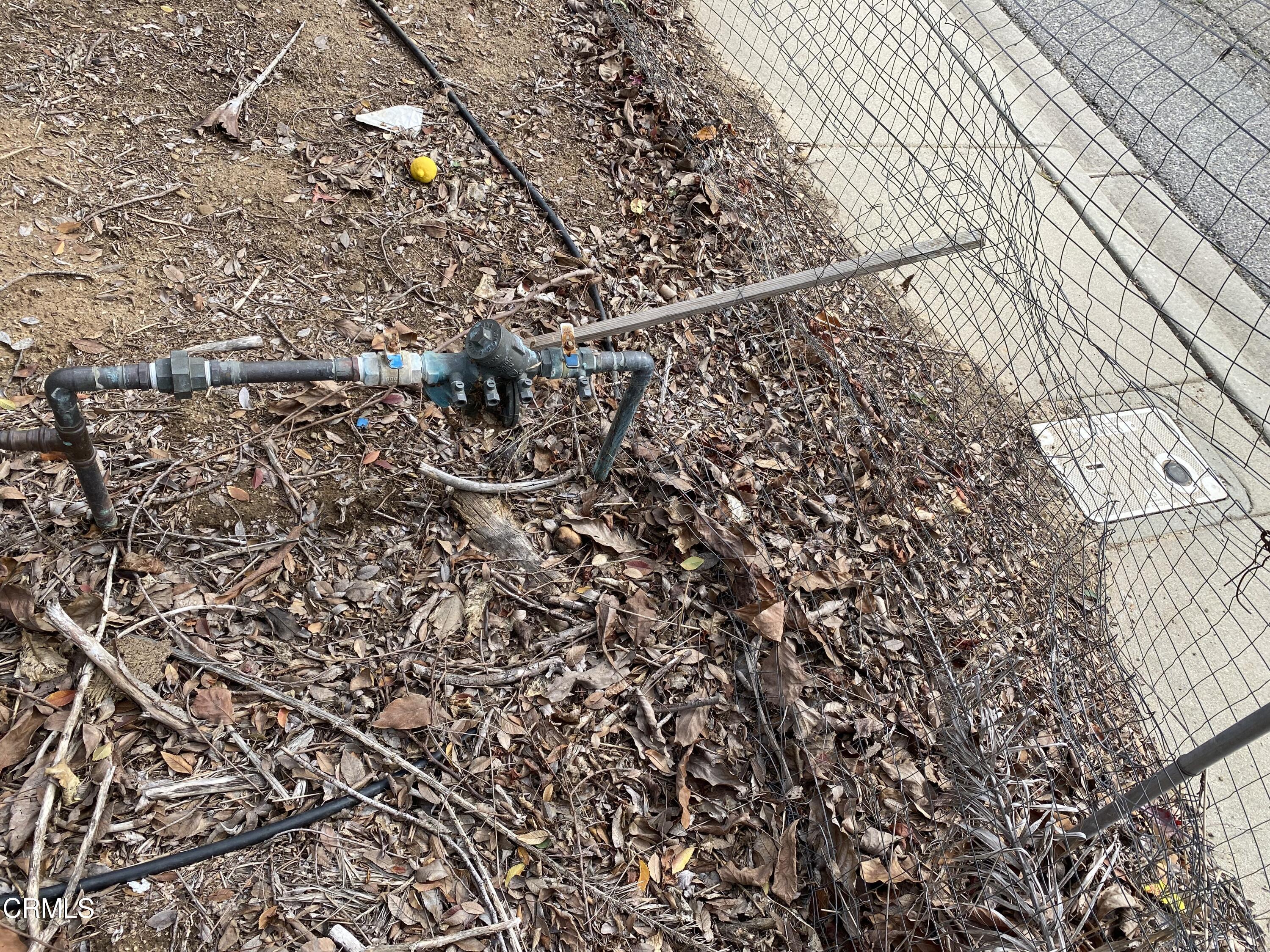 233 View Drive Santa Paula, CA 93060 - Photo 6 of 9 a view of outdoor space with lots of trees
