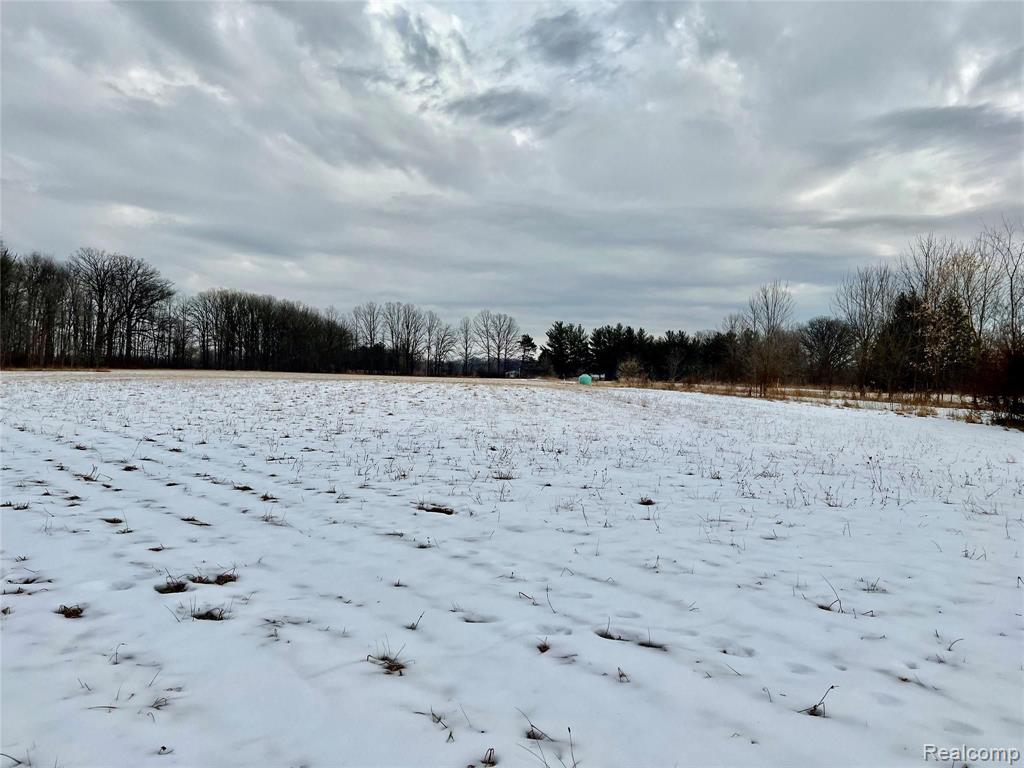 76930 McFadden Road Armada, MI 48005 - Photo 41 of 42