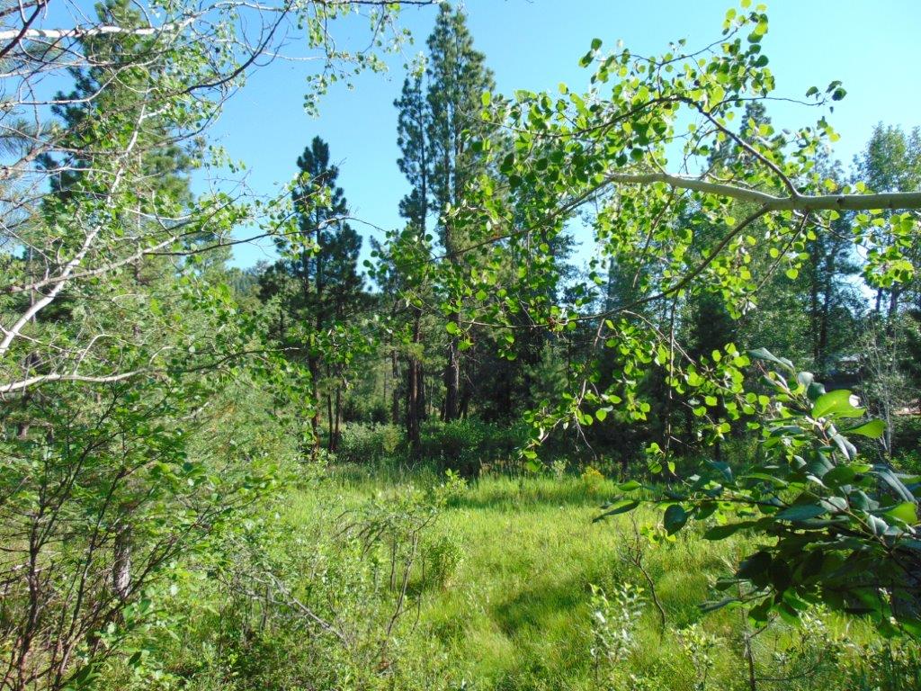 4615 Abe Lincoln Road Lincoln, MT 59639 - Photo 27 of 92 Gallery Image 27
