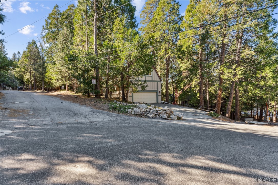 296 Massive Road Lake Arrowhead, CA 92352 - Photo 28 of 43 a view of a yard with plants and trees