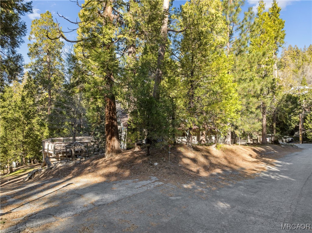 296 Massive Road Lake Arrowhead, CA 92352 - Photo 39 of 43 a view of a forest with trees