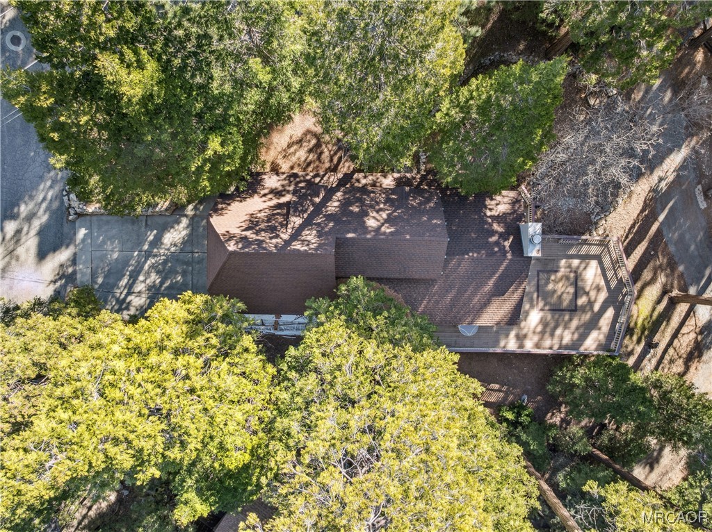 296 Massive Road Lake Arrowhead, CA 92352 - Photo 41 of 43 a view of yard with flower plants