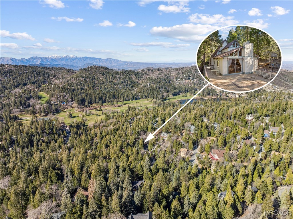 296 Massive Road Lake Arrowhead, CA 92352 - Photo 42 of 43 a view of a garden