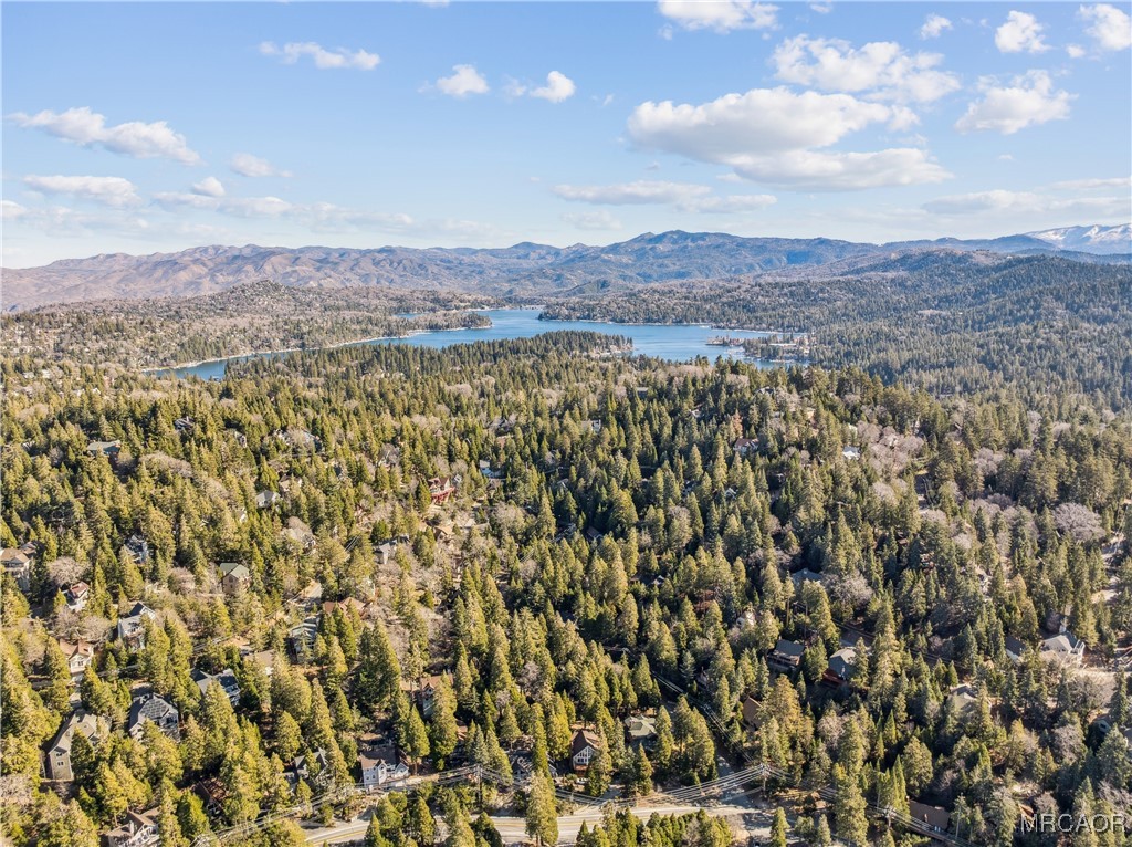 296 Massive Road Lake Arrowhead, CA 92352 - Photo 43 of 43 a view of a bunch of trees and mountains