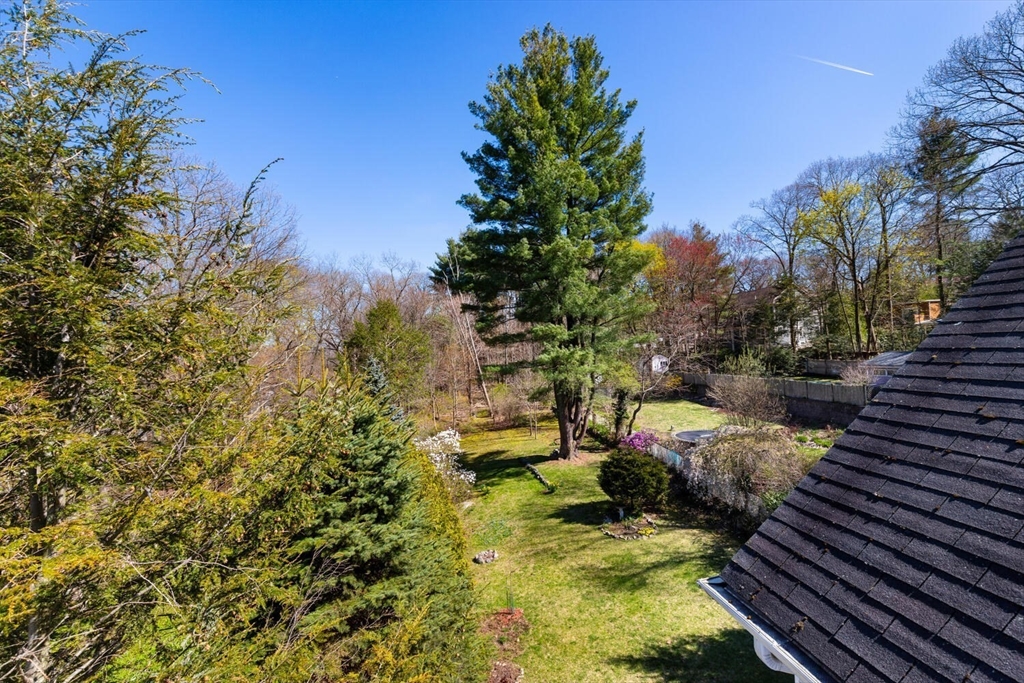 28 Spring Street Lexington, MA 02421 - Photo 33 of 39 a view of a yard with plants and trees