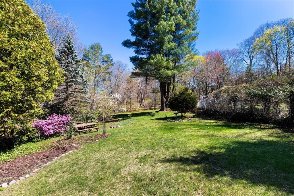 28 Spring Street Lexington, MA 02421 - Photo 34 of 39 a view of a backyard with plants and trees