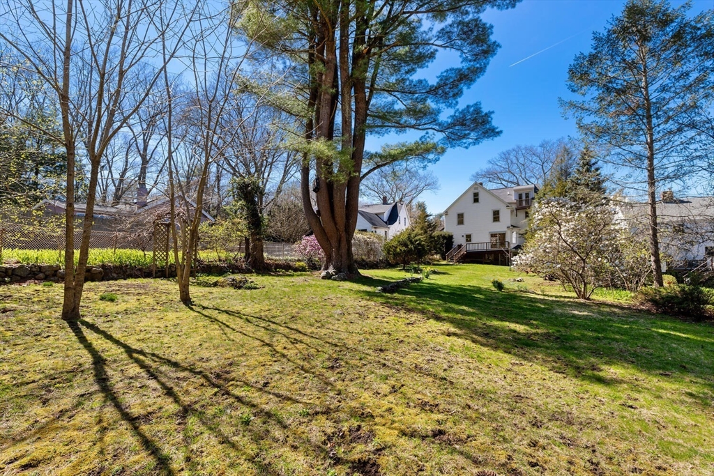 28 Spring Street Lexington, MA 02421 - Photo 35 of 39 a view of yard with tree