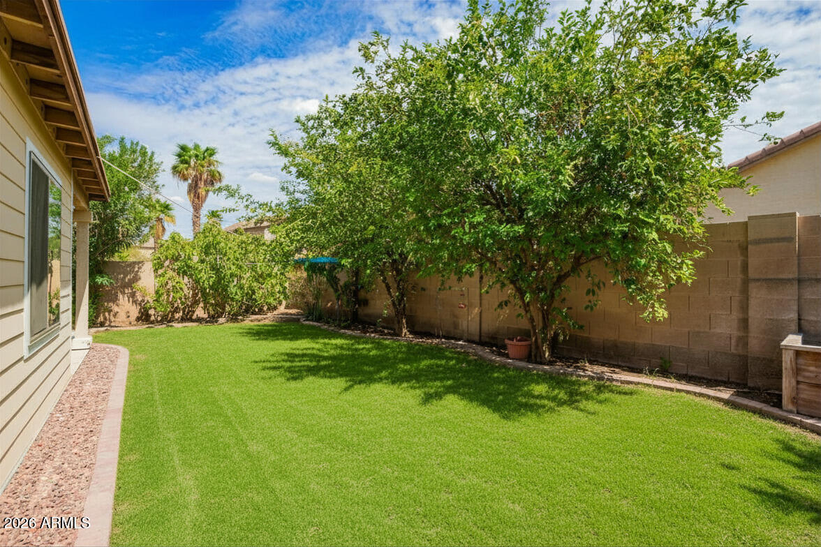 4477 East Harrison Street Gilbert, AZ 85295 - Photo 20 of 20 Backyard