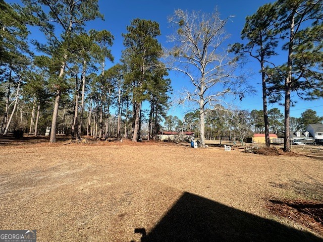 1065 Farmdale Road Sylvania, GA 30467 - Photo 31 of 39