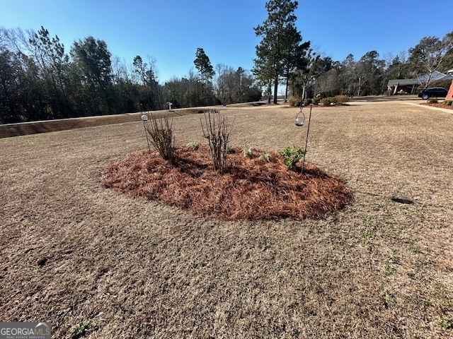 1065 Farmdale Road Sylvania, GA 30467 - Photo 37 of 39