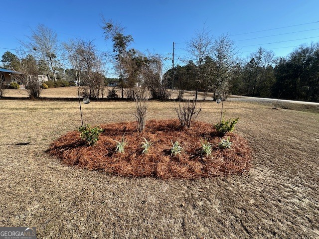 1065 Farmdale Road Sylvania, GA 30467 - Photo 38 of 39