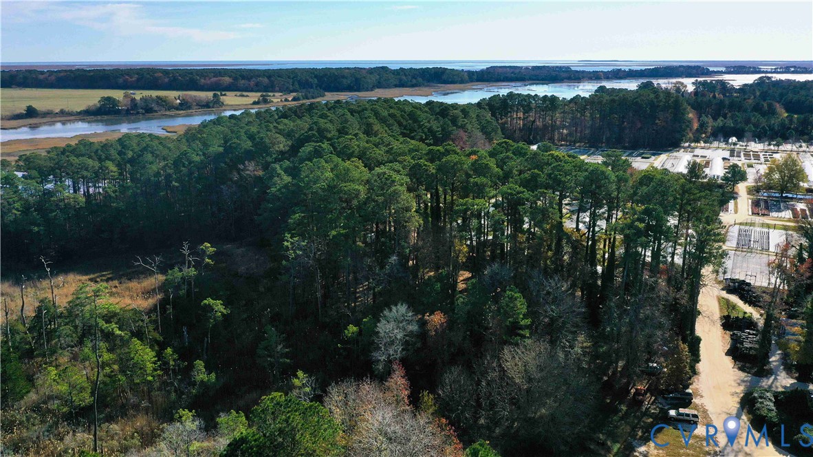 22511 Rose Cottage Road Locustville, VA 23404 - Photo 29 of 34 a view of a lake in middle of forest