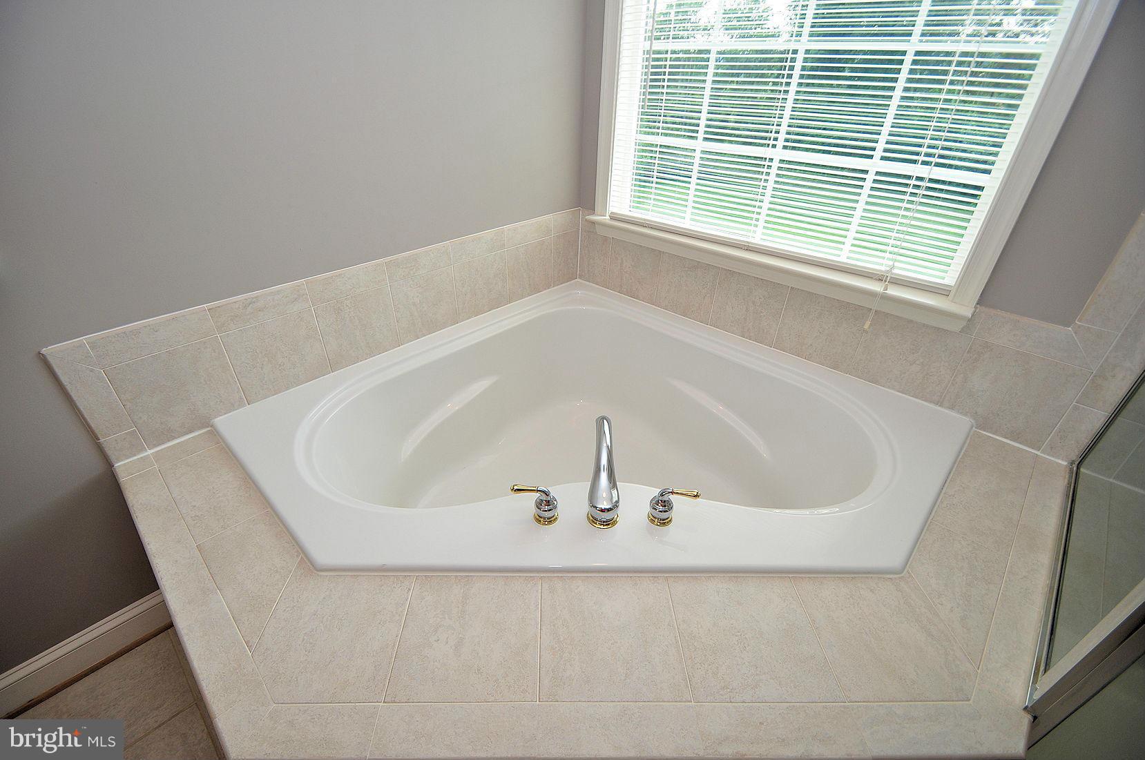 2221 Deer Park Road Finksburg, MD 21048 - Photo 20 of 29 Bath (Master)