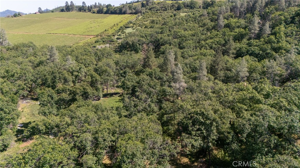 13520 Point Lakeview Road Lower Lake, CA 95457 - Photo 14 of 31