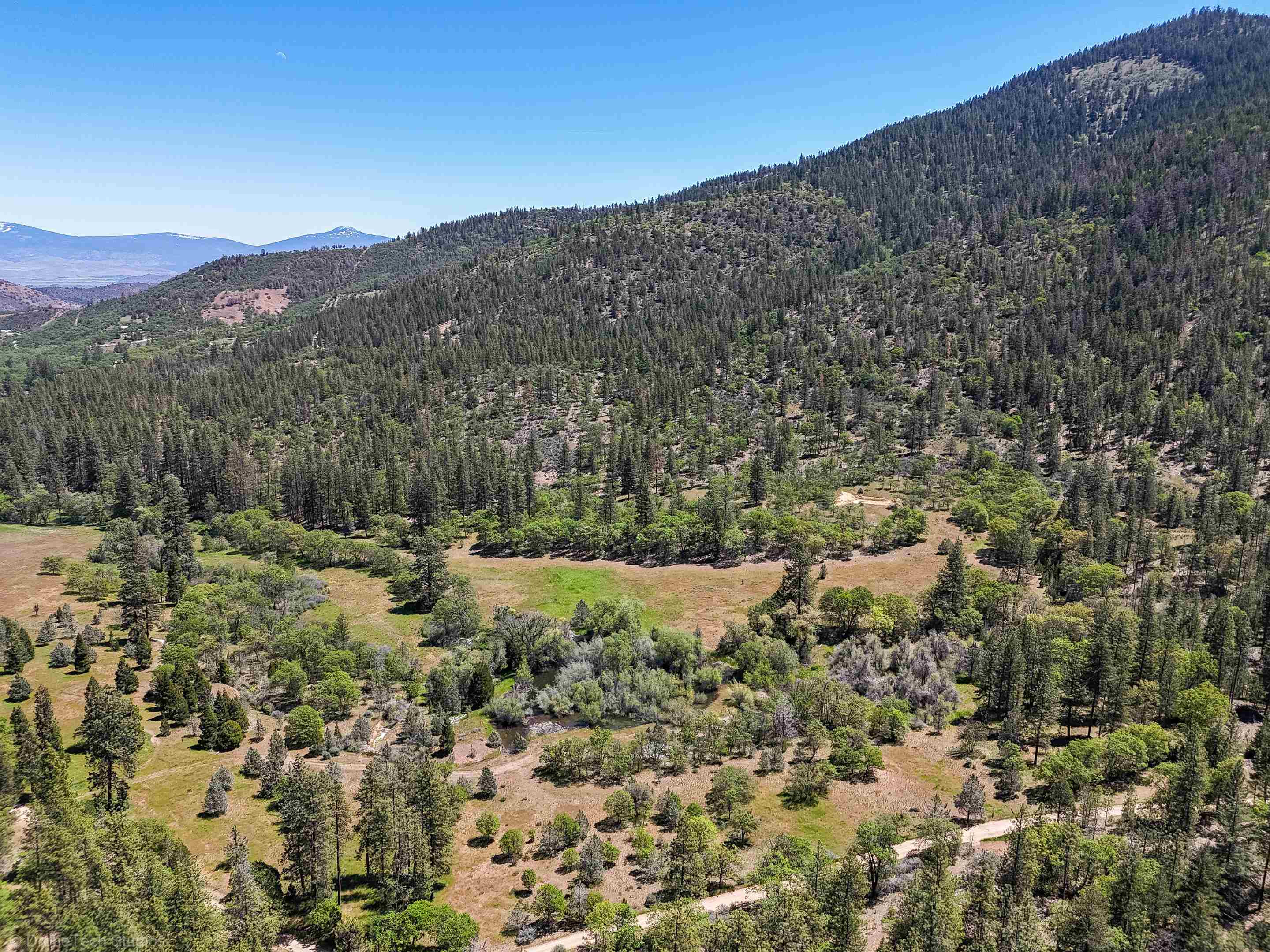 7226 Schulmeyer Gulch Road Yreka, CA 96097 - Photo 7 of 40 Gallery Image 7