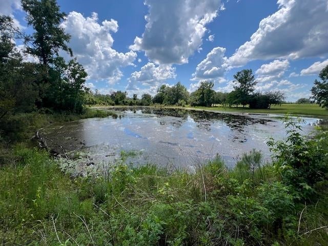 10-ac Laird Road Florala, AL 36442 - Photo 7 of 21 Gallery Image 7