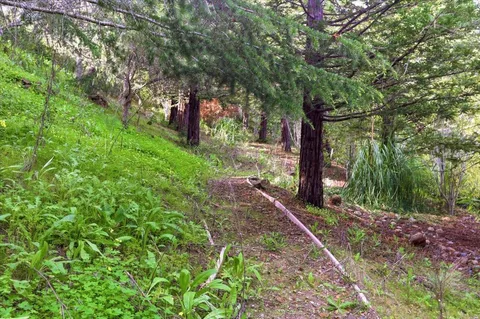 $7,998,000 | 1215 Tournament Drive, Hillsborough, CA 94010