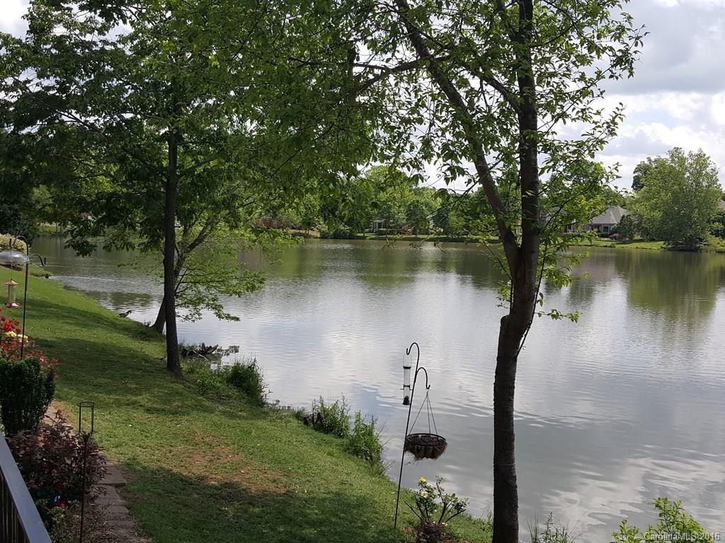 609 Crosswater Lane Fort Mill, SC 29708 - Photo 22 of 24 a body of water with a tree in the background